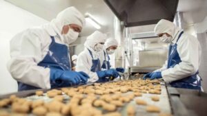 pessoas trabalhando em uma indústria alimentícia