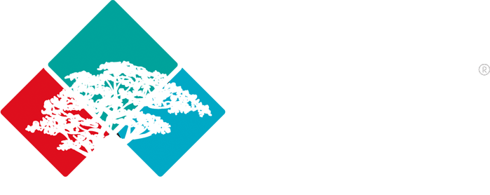 Logo Arvore Digital neg